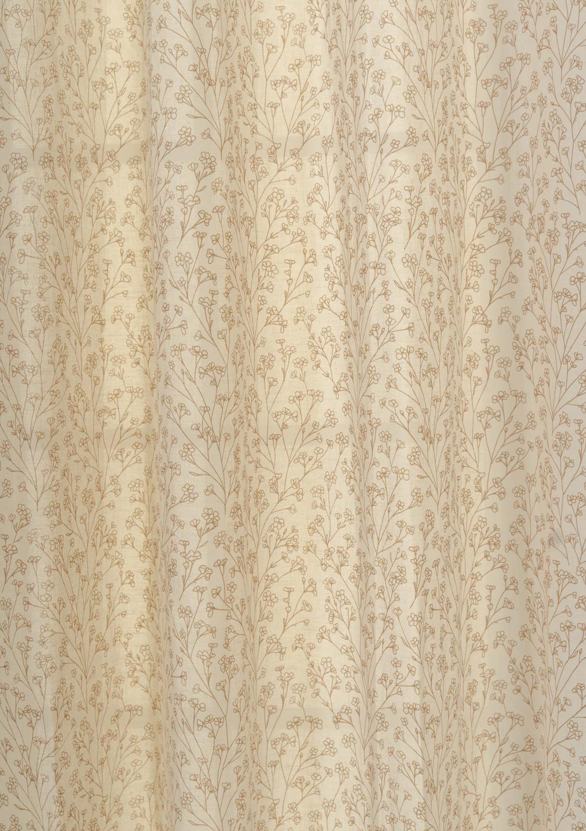 Canopy floral prints 100% cotton sheer curtain for living room - Light filtering - Brown - Single - Pack of 1