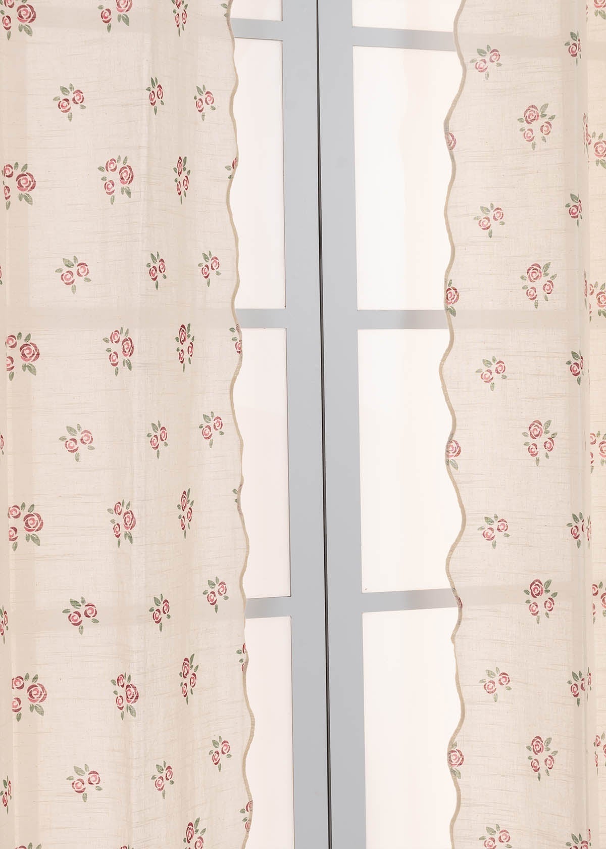 Rose Garden With Scallop Edge Printed Sheer Curtain - Wine Red - Pack of 1